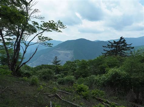 天祖山|天祖山～タワ尾根 日原から周回